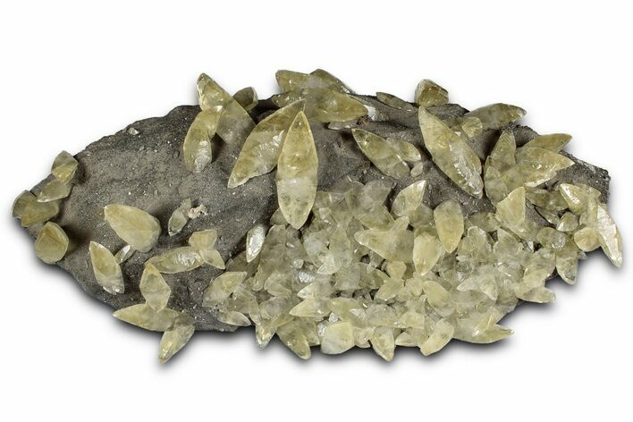 Double-Terminated Yellow Calcite Crystals on Matrix - Missouri #353651